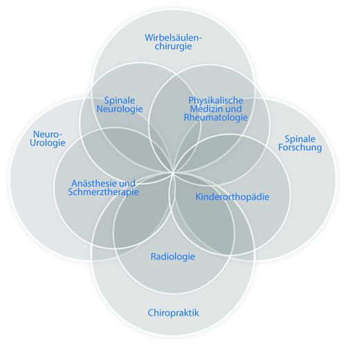 Acht auf die Wirbelsäule spezialisierte Fachbereiche konzentrieren ihre Expertise an einem Ort