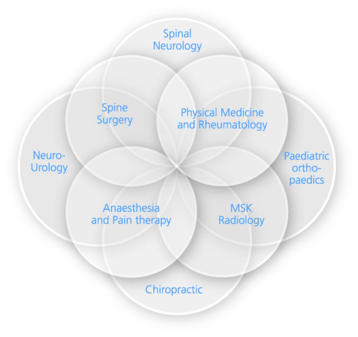 Eight interdisciplinary units are highly specialised in spine medicine Eight interdisciplinary units are highly specialised in spine medicine