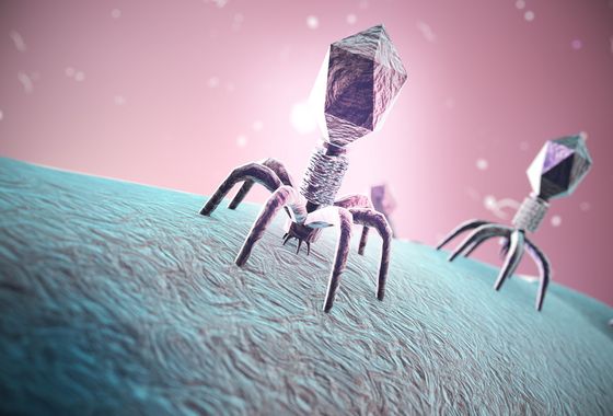 Bakteriophagen Bakteriophagen