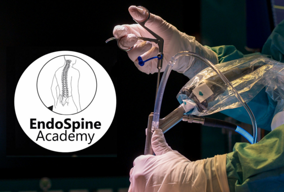 Gründung von Endospine Academy