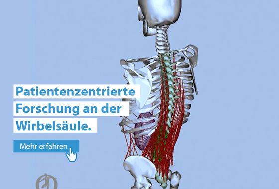Forschung an der Wirbelsäule Forschung an der Wirbelsäule