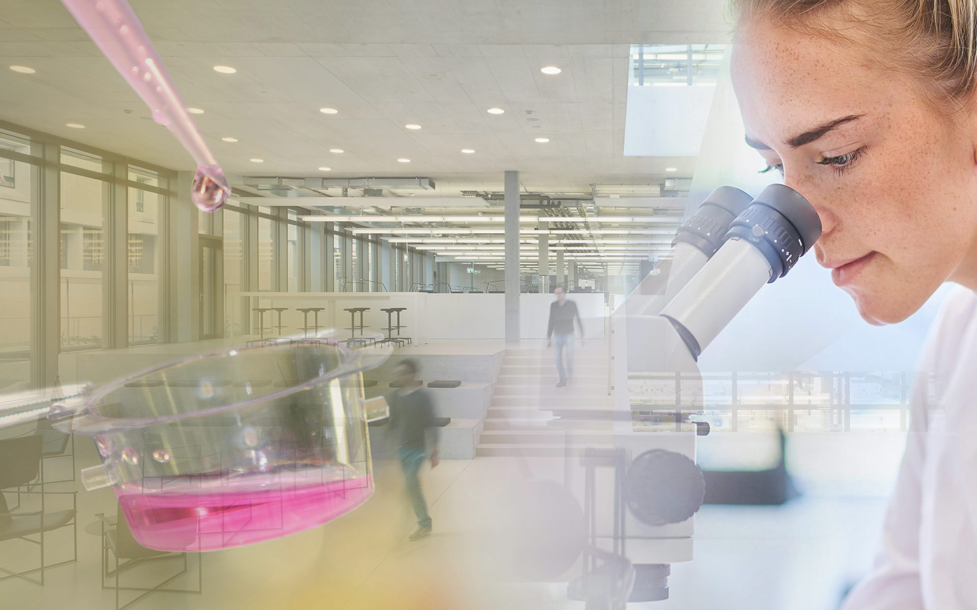 Muskuloskelettale Forschung Muskuloskelettale Forschung