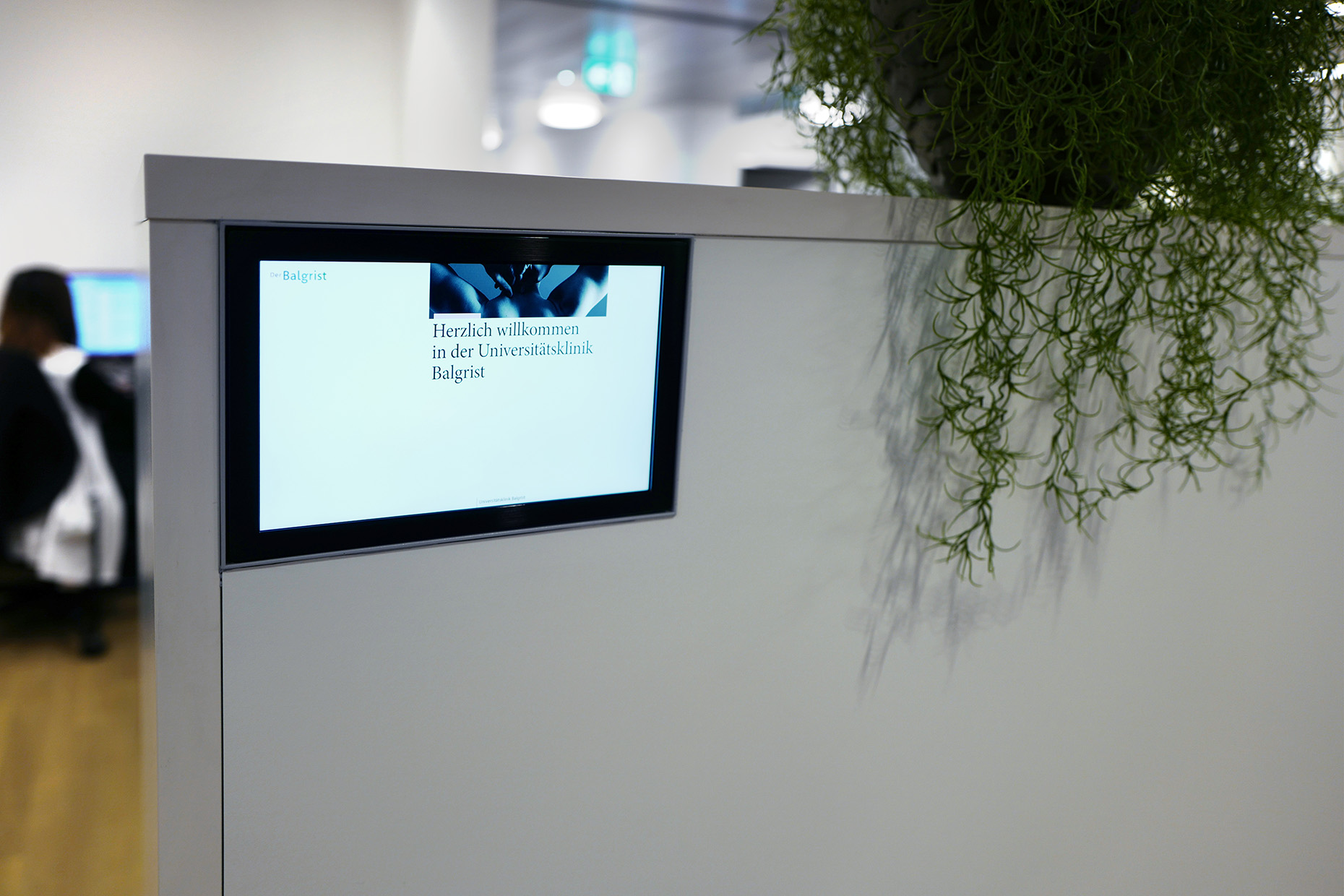 Voruntersuchung Voruntersuchung