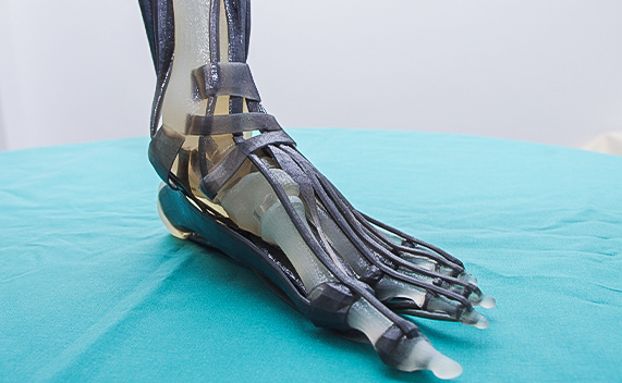 Anatomie als 3D-Druck Anatomie als 3D-Druck