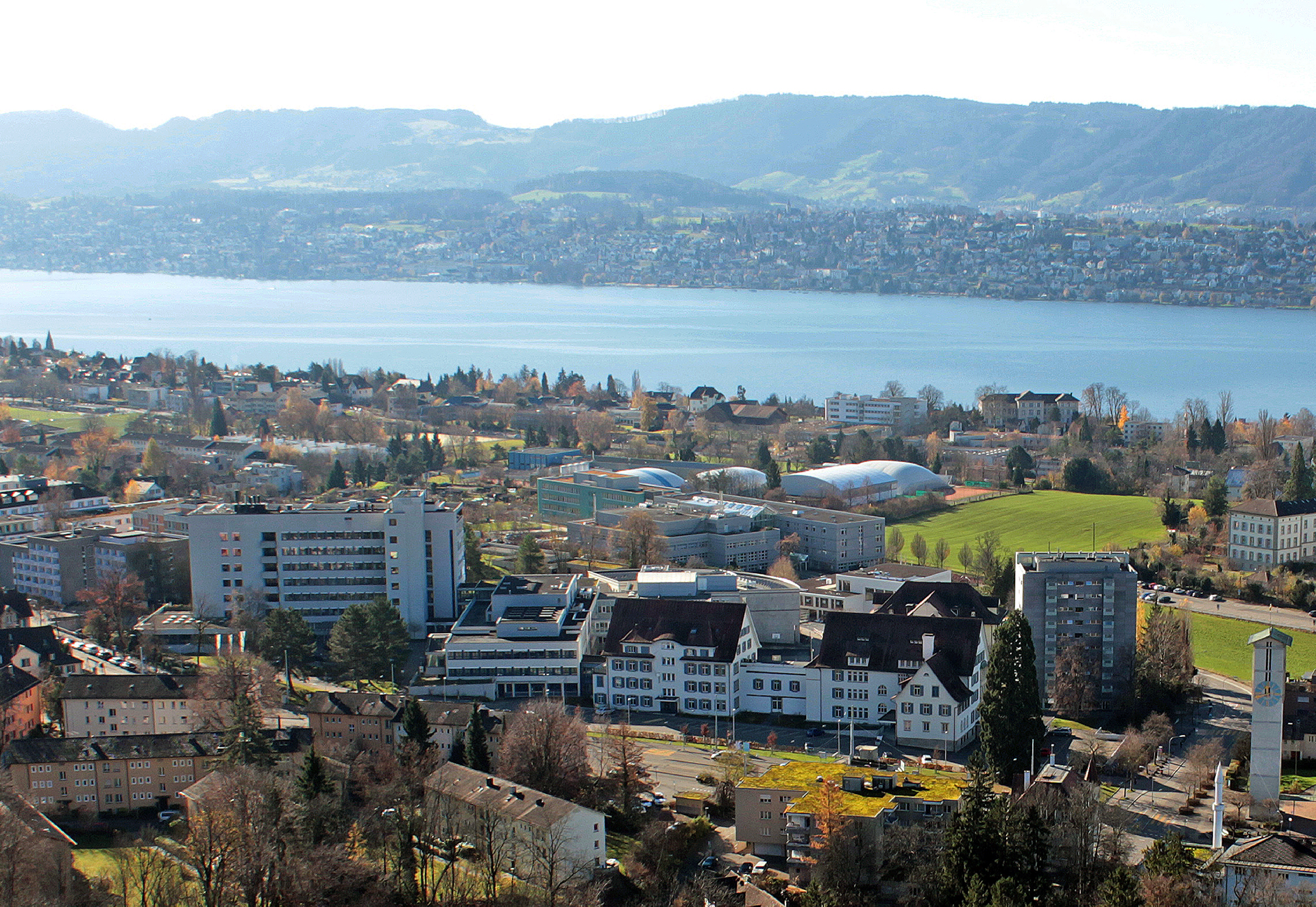 Balgrist and the Lake of Zurich